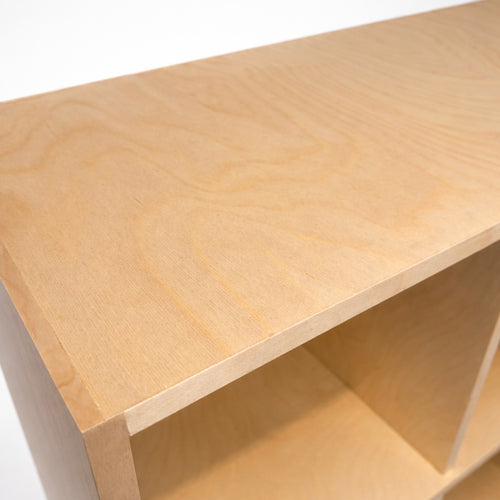 Industrial Cabinet on Casters